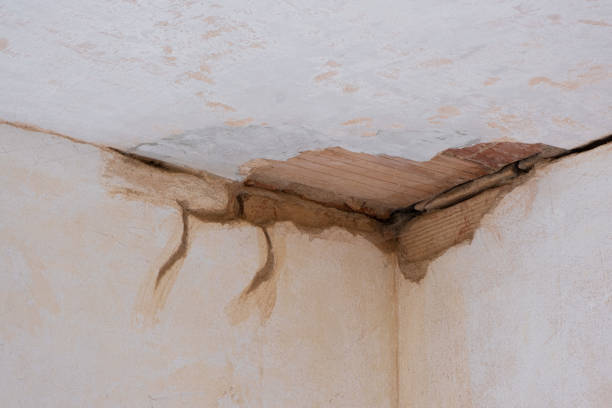 Best Local water damage restoration  in East Farmingdale, NY