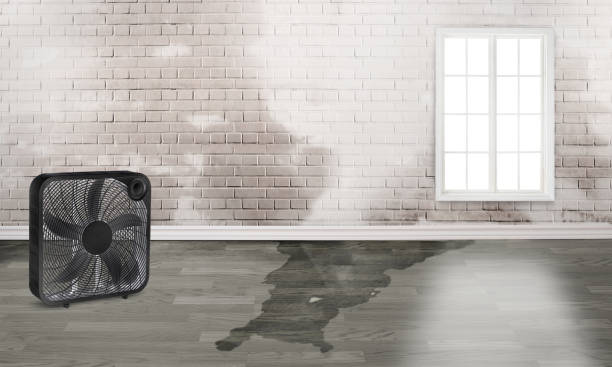  East Farmingdale, NY Water damage restoration Pros