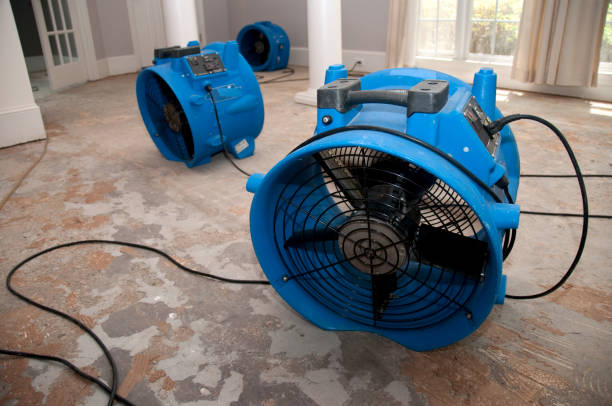 Best Water damage contractors near me  in East Farmingdale, NY