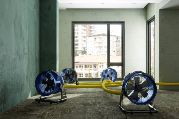 Best Local water damage restoration  in East Farmingdale, NY